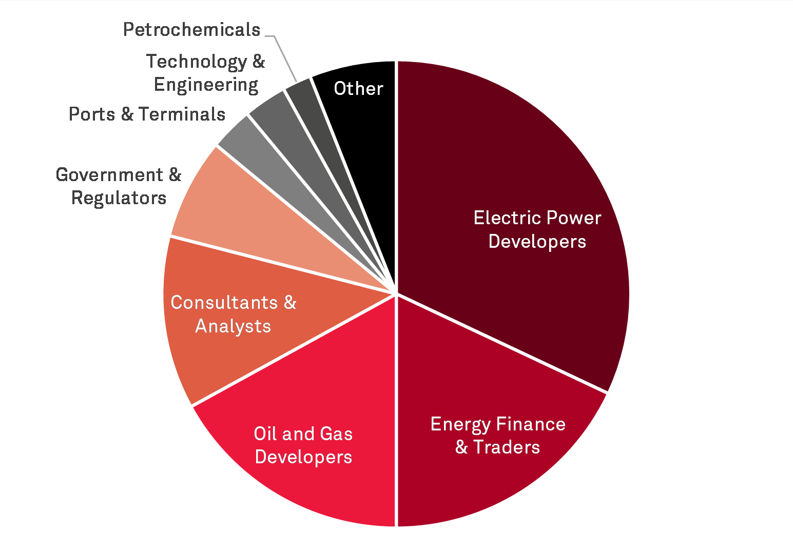 Mexican Energy Conference attendee profile pie chart